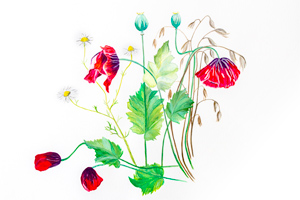 Floral watercolour greetings card